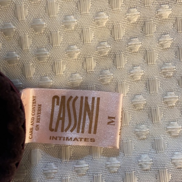 Vintage 90’s Velvet Bra & Panty set. - Picture 12 of 12